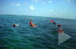 Puerto Morelos Villas guest can go snorkeling with Almost Heaven Adventures