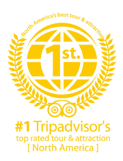 Selvatica | Tripadvisor Top Rated as #1 Tour and Attraction in North America