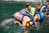 Dolphin Discovery Puerto Aventuras |all the programs let you hug a dolphin