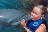 Dolphin Discovery Puerto Aventuras |all the programs let you kiss a dolphin