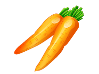 Puerto Morelos Vacation Rentals serves carrots