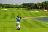 At the Grand Coral Golf Course your family can enjoy the Club House or the Beach Club while you play.